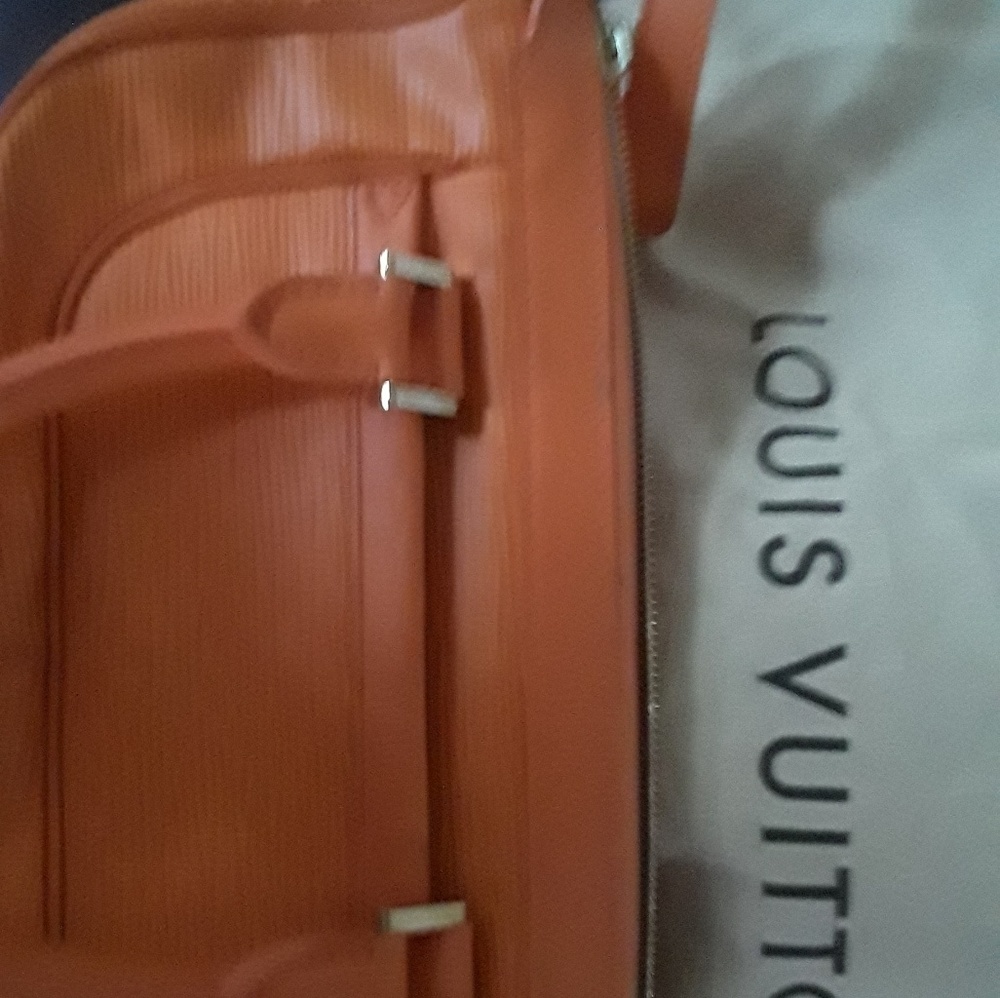 Handbag, Louie Vuitton